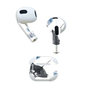 AirPods 3 p fUCXLV[ airpods 3 p GA|bh 3 p Oi2021jΉ 2 e2Zbg Cz Jo[ fR[V ANZT[ fRV[ 019931 C̐ C