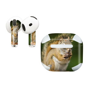 AirPods4 �p �I�V�����ɒ�����f�U�C���X�e�b�J�[