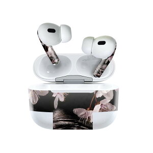 Air Pods Pro2 / Pro1 p fUCXLV[ airpods GA|bh apple Abv AirPods Pro 1 airpodsPro 2 Ή Cz Jo[ fR[V ANZT[ fRV[ 000009 @ʁ@