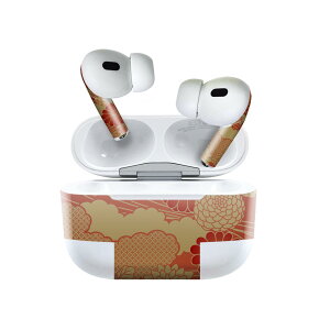 Air Pods Pro2 / Pro1 ��p �f�U�C���X�L���V�[�� airpods �G�A�|�b�h apple �A�b�v�� AirPods Pro ��1���� airpodsPro ��2���� �Ή� �C���z�� �J�o�[ �f�R���[�V���� �A�N�Z�T���[ �f�R�V�[�� 000037 �a���@�e�@