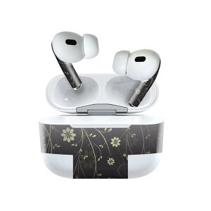 Air Pods Pro2 / Pro1 ��p �f�U�C���X�L���V�[�� airpods �G�A�|�b�h apple �A�b�v�� AirPods Pro ��1���� airpodsPro ��2���� �Ή� �C���z�� �J�o�[ �f�R���[�V���� �A�N�Z�T���[ �f�R�V�[�� 000053 �N�[�� ��