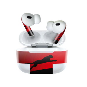 Air Pods Pro2 / Pro1 p fUCXLV[ airpods GA|bh apple Abv AirPods Pro 1 airpodsPro 2 Ή Cz Jo[ fR[V ANZT[ fRV[ 000067 ԁ@qE