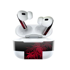 Air Pods Pro2 / Pro1 ��p �f�U�C���X�L���V�[�� airpods �G�A�|�b�h apple �A�b�v�� AirPods Pro ��1���� airpodsPro ��2���� �Ή� �C���z�� �J�o�[ �f�R���[�V���� �A�N�Z�T���[ �f�R�V�[�� 000446 ���݂��@��