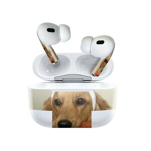 Air Pods Pro2 / Pro1 p fUCXLV[ airpods GA|bh apple Abv AirPods Pro 1 airpodsPro 2 Ή Cz Jo[ fR[V ANZT[ fRV[ 001111 @S[