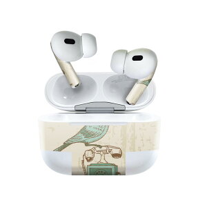 Air Pods Pro2 / Pro1 ��p �f�U�C���X�L���V�[�� airpods �G�A�|�b�h apple �A�b�v�� AirPods Pro ��1���� airpodsPro ��2���� �Ή� �C���z�� �J�o�[ �f�R���[�V���� �A�N�Z�T���[ �f�R�V�[�� 001199 ���g���@��