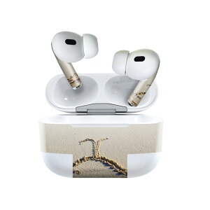 Air Pods Pro2 / Pro1 p fUCXLV[ airpods GA|bh apple Abv AirPods Pro 1 airpodsPro 2 Ή Cz Jo[ fR[V ANZT[ fRV[ 001562 l@NW