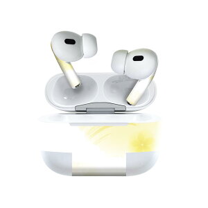 Air Pods Pro2 / Pro1 ��p �f�U�C���X�L���V�[�� airpods �G�A�|�b�h apple �A�b�v�� AirPods Pro ��1���� airpodsPro ��2���� �Ή� �C���z�� �J�o�[ �f�R���[�V���� �A�N�Z�T���[ �f�R�V�[�� 001905 �V���v���@