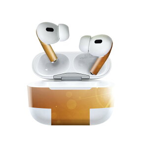 Air Pods Pro2 / Pro1 p fUCXLV[ airpods GA|bh apple Abv AirPods Pro 1 airpodsPro 2 Ή Cz Jo[ fR[V ANZT[ fRV[ 001924 Vv@