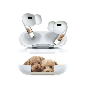 Air Pods Pro2 / Pro1 p fUCXLV[ airpods GA|bh apple Abv AirPods Pro 1 airpodsPro 2 Ή Cz Jo[ fR[V ANZT[ fRV[ 002770 @@