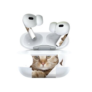 Air Pods Pro2 / Pro1 p fUCXLV[ airpods GA|bh apple Abv AirPods Pro 1 airpodsPro 2 Ή Cz Jo[ fR[V ANZT[ fRV[ 002783 L@@