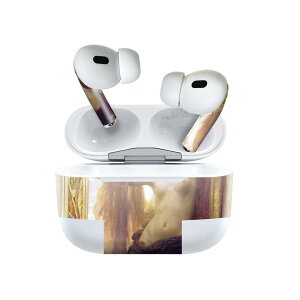 Air Pods Pro2 / Pro1 ��p �f�U�C���X�L���V�[�� airpods �G�A�|�b�h apple �A�b�v�� AirPods Pro ��1���� airpodsPro ��2���� �Ή� �C���z�� �J�o�[ �f�R���[�V���� �A�N�Z�T���[ �f�R�V�[�� 003217 �N�[�� �l