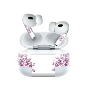 Air Pods Pro2 / Pro1 ��p �f�U�C���X�L���V�[�� airpods �G�A�|�b�h apple �A�b�v�� AirPods Pro ��1���� airpodsPro ��2���� �Ή� �C���z�� �J�o�[ �f�R���[�V���� �A�N�Z�T���[ �f�R�V�[�� 020632 �}�X�N�f�U
