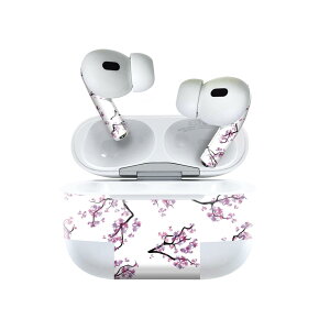 Air Pods Pro2 / Pro1 ��p �f�U�C���X�L���V�[�� airpods �G�A�|�b�h apple �A�b�v�� AirPods Pro ��1���� airpodsPro ��2���� �Ή� �C���z�� �J�o�[ �f�R���[�V���� �A�N�Z�T���[ �f�R�V�[�� 020633 �}�X�N�f�U