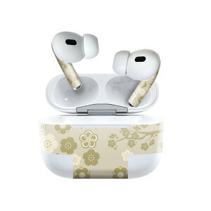 Air Pods Pro2 / Pro1 p fUCXLV[ airpods GA|bh apple Abv AirPods Pro 1 airpodsPro 2 Ή Cz Jo[ fR[V ANZT[ fRV[ 020665 }XNfU