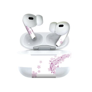Air Pods Pro2 / Pro1 p fUCXLV[ airpods GA|bh apple Abv AirPods Pro 1 airpodsPro 2 Ή Cz Jo[ fR[V ANZT[ fRV[ 020730 }XNfU