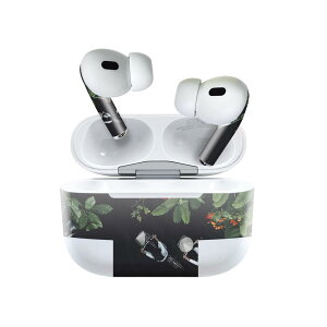 Air Pods Pro2 / Pro1 p fUCXLV[ airpods GA|bh apple Abv AirPods Pro 1 airpodsPro 2 Ή Cz Jo[ fR[V ANZT[ fRV[ 022841 ʐ^@H@