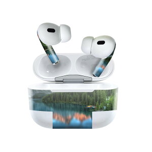 Air Pods Pro2 / Pro1 ��p �f�U�C���X�L���V�[�� airpods �G�A�|�b�h apple �A�b�v�� AirPods Pro ��1���� airpodsPro ��2���� �Ή� �C���z�� �J�o�[ �f�R���[�V���� �A�N�Z�T���[ �f�R�V�[�� 022849 �ʐ^�@���i
