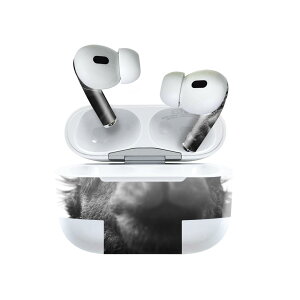Air Pods Pro2 / Pro1 ��p �f�U�C���X�L���V�[�� airpods �G�A�|�b�h apple �A�b�v�� AirPods Pro ��1���� airpodsPro ��2���� �Ή� �C���z�� �J�o�[ �f�R���[�V���� �A�N�Z�T���[ �f�R�V�[�� 022854 �ʐ^�@���N