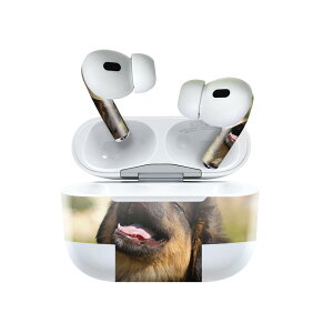 Air Pods Pro2 / Pro1 p fUCXLV[ airpods GA|bh apple Abv AirPods Pro 1 airpodsPro 2 Ή Cz Jo[ fR[V ANZT[ fRV[ 022861 @@