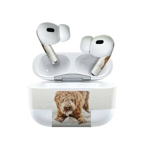 Air Pods Pro2 / Pro1 p fUCXLV[ airpods GA|bh apple Abv AirPods Pro 1 airpodsPro 2 Ή Cz Jo[ fR[V ANZT[ fRV[ 022864 @@