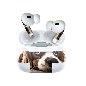 Air Pods Pro2 / Pro1 p fUCXLV[ airpods GA|bh apple Abv AirPods Pro 1 airpodsPro 2 Ή Cz Jo[ fR[V ANZT[ fRV[ 022868 @ʐ^