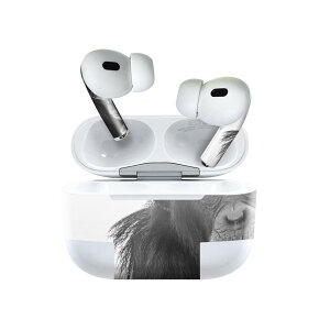 Air Pods Pro2 / Pro1 ��p �f�U�C���X�L���V�[�� airpods �G�A�|�b�h apple �A�b�v�� AirPods Pro ��1���� airpodsPro ��2���� �Ή� �C���z�� �J�o�[ �f�R���[�V���� �A�N�Z�T���[ �f�R�V�[�� 022874 ���@�`���p