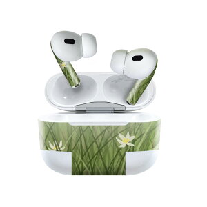 Air Pods Pro2 / Pro1 ��p �f�U�C���X�L���V�[�� airpods �G�A�|�b�h apple �A�b�v�� AirPods Pro ��1���� airpodsPro ��2���� �Ή� �C���z�� �J�o�[ �f�R���[�V���� �A�N�Z�T���[ �f�R�V�[�� 022902 �ԁ@�C���X