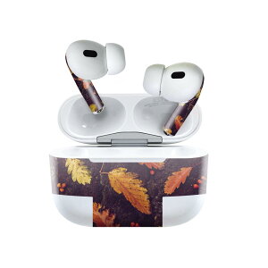 Air Pods Pro2 / Pro1 ��p �f�U�C���X�L���V�[�� airpods �G�A�|�b�h apple �A�b�v�� AirPods Pro ��1���� airpodsPro ��2���� �Ή� �C���z�� �J�o�[ �f�R���[�V���� �A�N�Z�T���[ �f�R�V�[�� 022908 �H�@�t����