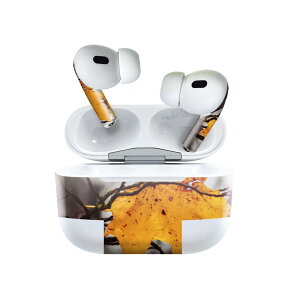 Air Pods Pro2 / Pro1 p fUCXLV[ airpods GA|bh apple Abv AirPods Pro 1 airpodsPro 2 Ή Cz Jo[ fR[V ANZT[ fRV[ 022909 H@t