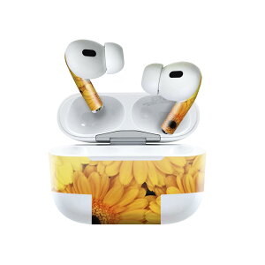 Air Pods Pro2 / Pro1 p fUCXLV[ airpods GA|bh apple Abv AirPods Pro 1 airpodsPro 2 Ή Cz Jo[ fR[V ANZT[ fRV[ 022918 ԁ@ʐ^@