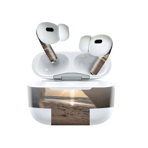 Air Pods Pro2 / Pro1 ��p �f�U�C���X�L���V�[�� airpods �G�A�|�b�h apple �A�b�v�� AirPods Pro ��1���� airpodsPro ��2���� �Ή� �C���z�� �J�o�[ �f�R���[�V���� �A�N�Z�T���[ �f�R�V�[�� 022941 �ʐ^�@�C�@