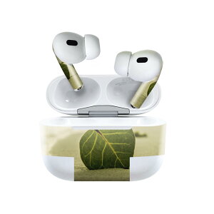 Air Pods Pro2 / Pro1 ��p �f�U�C���X�L���V�[�� airpods �G�A�|�b�h apple �A�b�v�� AirPods Pro ��1���� airpodsPro ��2���� �Ή� �C���z�� �J�o�[ �f�R���[�V���� �A�N�Z�T���[ �f�R�V�[�� 022945 �C�@�t����