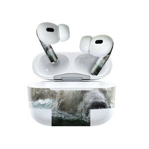 Air Pods Pro2 / Pro1 p fUCXLV[ airpods GA|bh apple Abv AirPods Pro 1 airpodsPro 2 Ή Cz Jo[ fR[V ANZT[ fRV[ 022961 ܁@