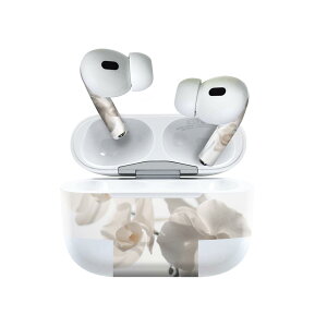 Air Pods Pro2 / Pro1 p fUCXLV[ airpods GA|bh apple Abv AirPods Pro 1 airpodsPro 2 Ή Cz Jo[ fR[V ANZT[ fRV[ 022963 ԁ@ʐ^@
