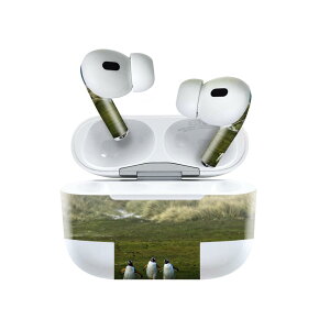 Air Pods Pro2 / Pro1 p fUCXLV[ airpods GA|bh apple Abv AirPods Pro 1 airpodsPro 2 Ή Cz Jo[ fR[V ANZT[ fRV[ 022981 ʐ^@iF