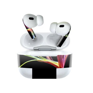 Air Pods Pro2 / Pro1 ��p �f�U�C���X�L���V�[�� airpods �G�A�|�b�h apple �A�b�v�� AirPods Pro ��1���� airpodsPro ��2���� �Ή� �C���z�� �J�o�[ �f�R���[�V���� �A�N�Z�T���[ �f�R�V�[�� 022986 �ԁ@�J���t