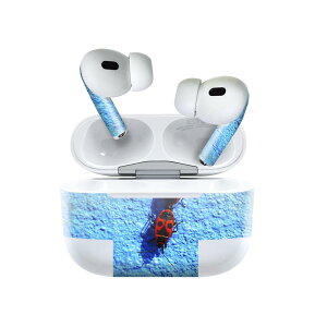 Air Pods Pro2 / Pro1 p fUCXLV[ airpods GA|bh apple Abv AirPods Pro 1 airpodsPro 2 Ή Cz Jo[ fR[V ANZT[ fRV[ 022991 @