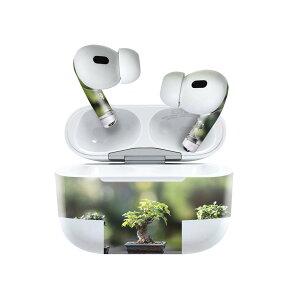 Air Pods Pro2 / Pro1 p fUCXLV[ airpods GA|bh apple Abv AirPods Pro 1 airpodsPro 2 Ή Cz Jo[ fR[V ANZT[ fRV[ 023001 ~́@A