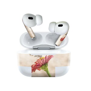 Air Pods Pro2 / Pro1 p fUCXLV[ airpods GA|bh apple Abv AirPods Pro 1 airpodsPro 2 Ή Cz Jo[ fR[V ANZT[ fRV[ 023047 X@ԁ@