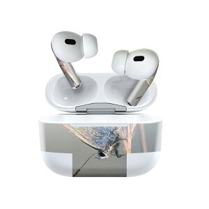 Air Pods Pro2 / Pro1 p fUCXLV[ airpods GA|bh apple Abv AirPods Pro 1 airpodsPro 2 Ή Cz Jo[ fR[V ANZT[ fRV[ 023050 X@ԁ@