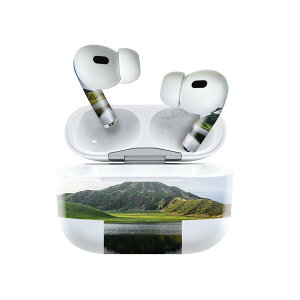 Air Pods Pro2 / Pro1 ��p �f�U�C���X�L���V�[�� airpods �G�A�|�b�h apple �A�b�v�� AirPods Pro ��1���� airpodsPro ��2���� �Ή� �C���z�� �J�o�[ �f�R���[�V���� �A�N�Z�T���[ �f�R�V�[�� 023061 ���R�@�R�@