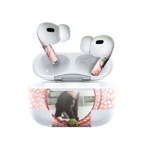 Air Pods Pro2 / Pro1 ��p �f�U�C���X�L���V�[�� airpods �G�A�|�b�h apple �A�b�v�� AirPods Pro ��1���� airpodsPro ��2���� �Ή� �C���z�� �J�o�[ �f�R���[�V���� �A�N�Z�T���[ �f�R�V�[�� 023080 �L�@�˂��@
