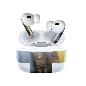 Air Pods Pro2 / Pro1 ��p �f�U�C���X�L���V�[�� airpods �G�A�|�b�h apple �A�b�v�� AirPods Pro ��1���� airpodsPro ��2���� �Ή� �C���z�� �J�o�[ �f�R���[�V���� �A�N�Z�T���[ �f�R�V�[�� 023082 �L�@�˂��@