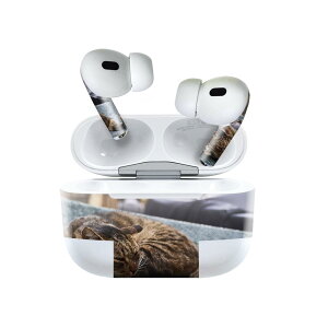 Air Pods Pro2 / Pro1 ��p �f�U�C���X�L���V�[�� airpods �G�A�|�b�h apple �A�b�v�� AirPods Pro ��1���� airpodsPro ��2���� �Ή� �C���z�� �J�o�[ �f�R���[�V���� �A�N�Z�T���[ �f�R�V�[�� 023084 �L�@�˂��@