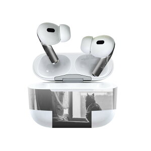 Air Pods Pro2 / Pro1 p fUCXLV[ airpods GA|bh apple Abv AirPods Pro 1 airpodsPro 2 Ή Cz Jo[ fR[V ANZT[ fRV[ 023086 L@˂@