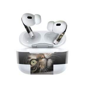 Air Pods Pro2 / Pro1 ��p �f�U�C���X�L���V�[�� airpods �G�A�|�b�h apple �A�b�v�� AirPods Pro ��1���� airpodsPro ��2���� �Ή� �C���z�� �J�o�[ �f�R���[�V���� �A�N�Z�T���[ �f�R�V�[�� 023089 �L�@�˂��@