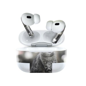 Air Pods Pro2 / Pro1 p fUCXLV[ airpods GA|bh apple Abv AirPods Pro 1 airpodsPro 2 Ή Cz Jo[ fR[V ANZT[ fRV[ 023094 L@˂@