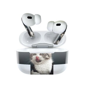 Air Pods Pro2 / Pro1 p fUCXLV[ airpods GA|bh apple Abv AirPods Pro 1 airpodsPro 2 Ή Cz Jo[ fR[V ANZT[ fRV[ 023096 L@˂@