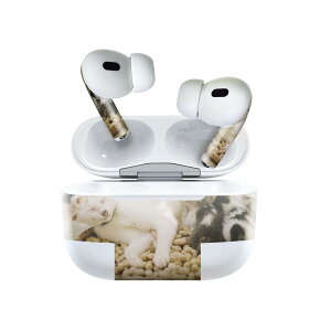Air Pods Pro2 / Pro1 p fUCXLV[ airpods GA|bh apple Abv AirPods Pro 1 airpodsPro 2 Ή Cz Jo[ fR[V ANZT[ fRV[ 023098 L@˂@