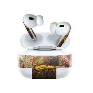 Air Pods Pro2 / Pro1 p fUCXLV[ airpods GA|bh apple Abv AirPods Pro 1 airpodsPro 2 Ή Cz Jo[ fR[V ANZT[ fRV[ 023101 COAi@